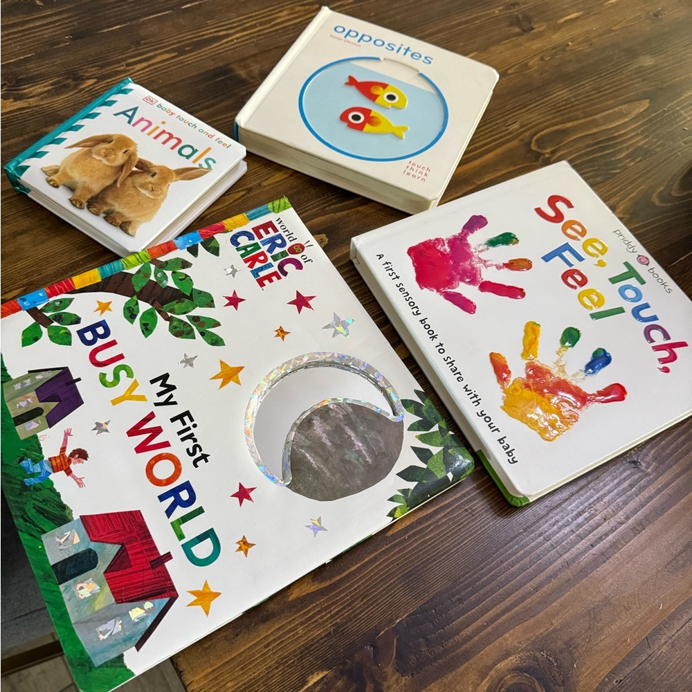 Colorful Baby Learning Board Books Bundle- LIKE NEW